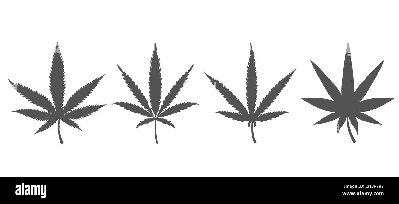 La cannabis lascia simboli. Collezione silhouettes piante di canapa. Marijuana erbe per logo design. Illustrazione vettoriale Illustrazione Vettoriale