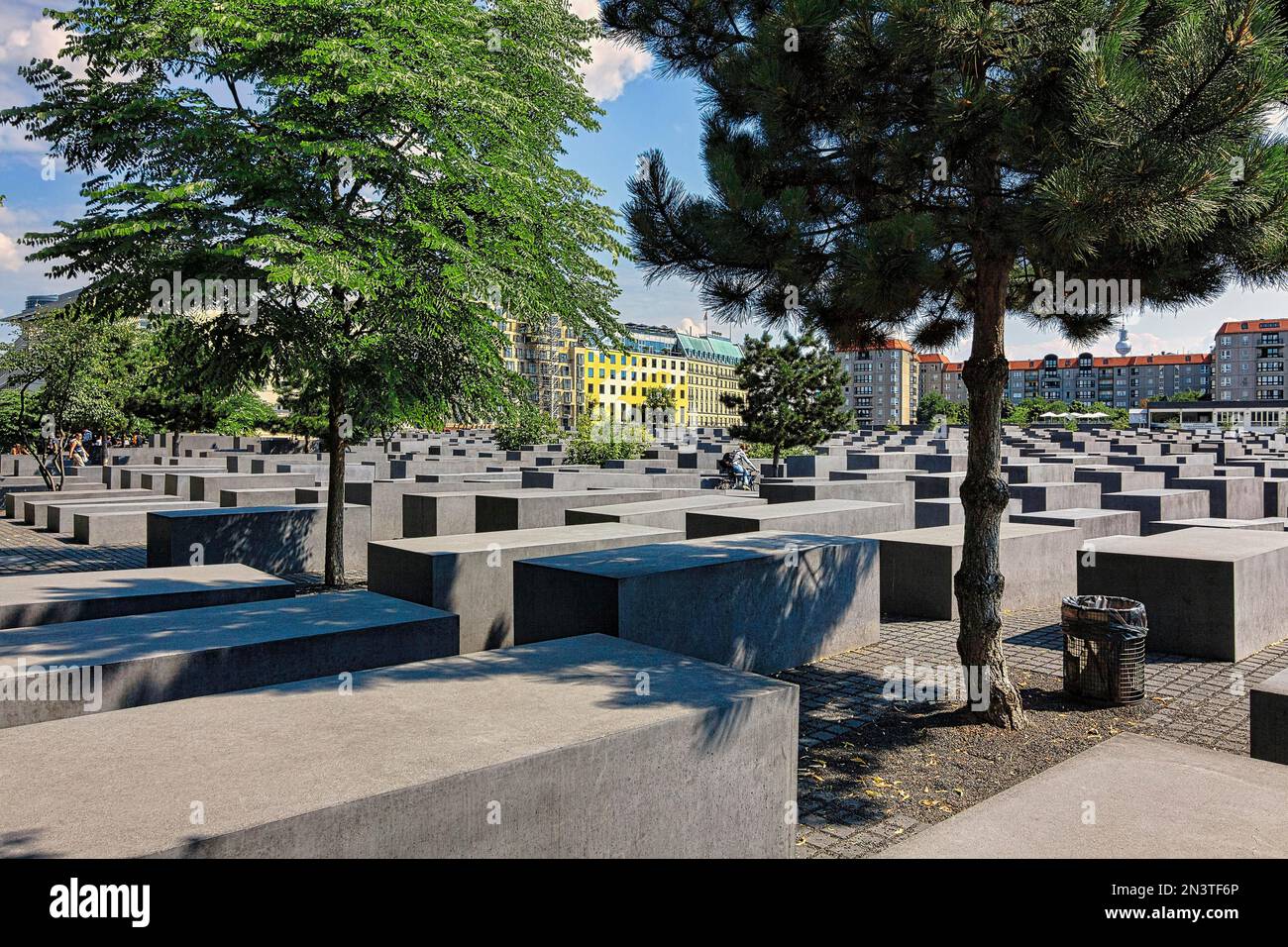 Stele cuboide in cemento, memoria degli ebrei assassinati d'Europa, memoria dell'olocausto, campo di stele, architetto Peter Eisenman, centro città, Berlino Foto Stock