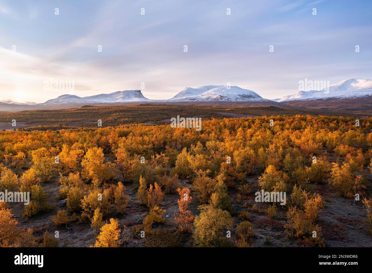 Autunnale cadde paesaggio di fronte al gruppo innevato di montagna Lapporten, Abisko, Lapponia, Svezia Foto Stock