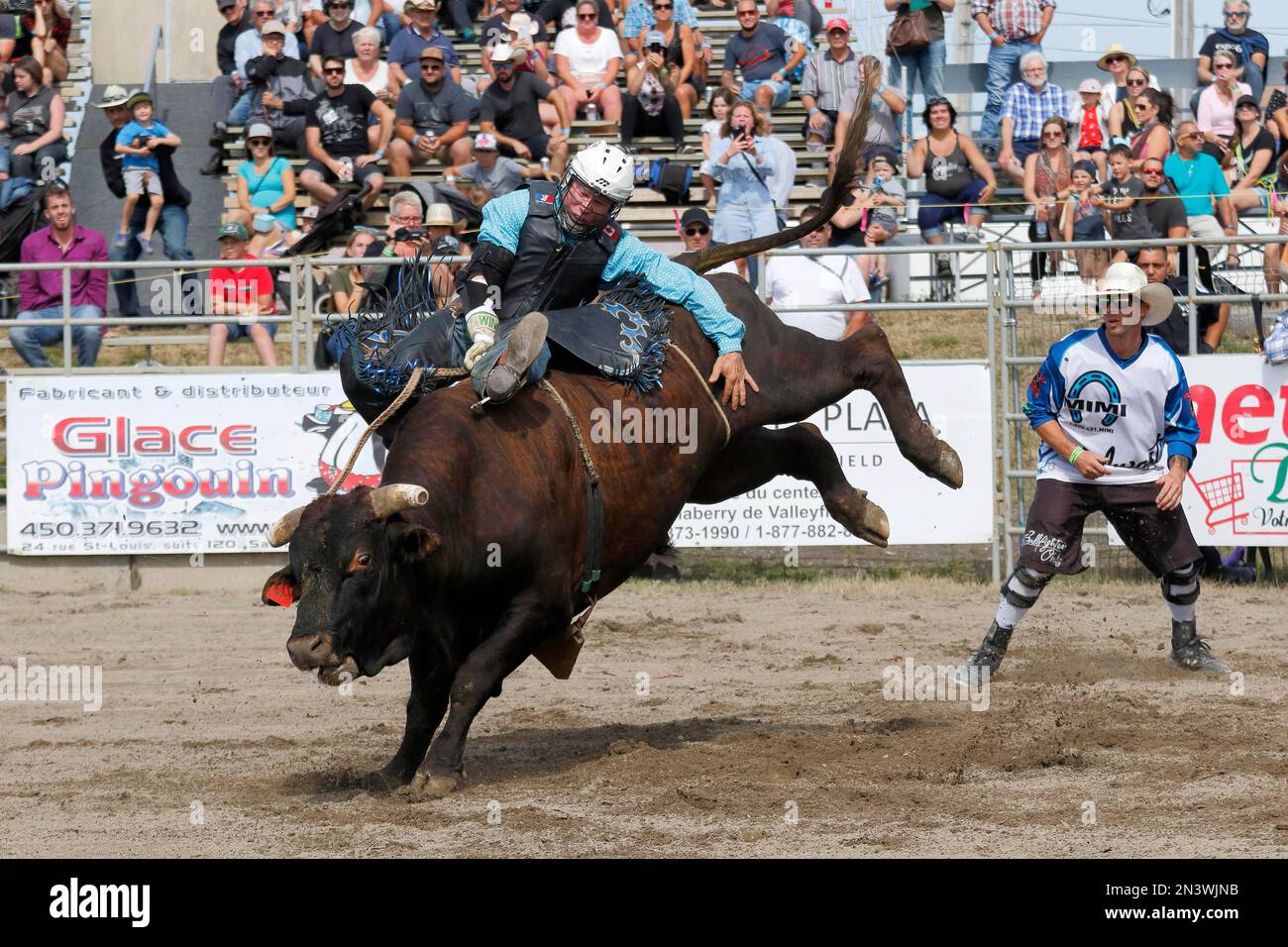 Rodeo, bull riding, Valleyfield, Provincia di Quebec, Canada Foto Stock