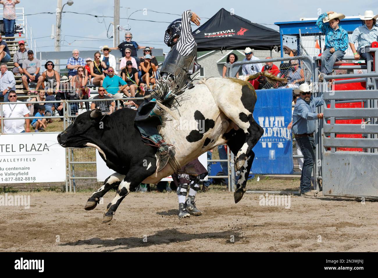 Rodeo, bull riding, Valleyfield, Provincia di Quebec, Canada Foto Stock