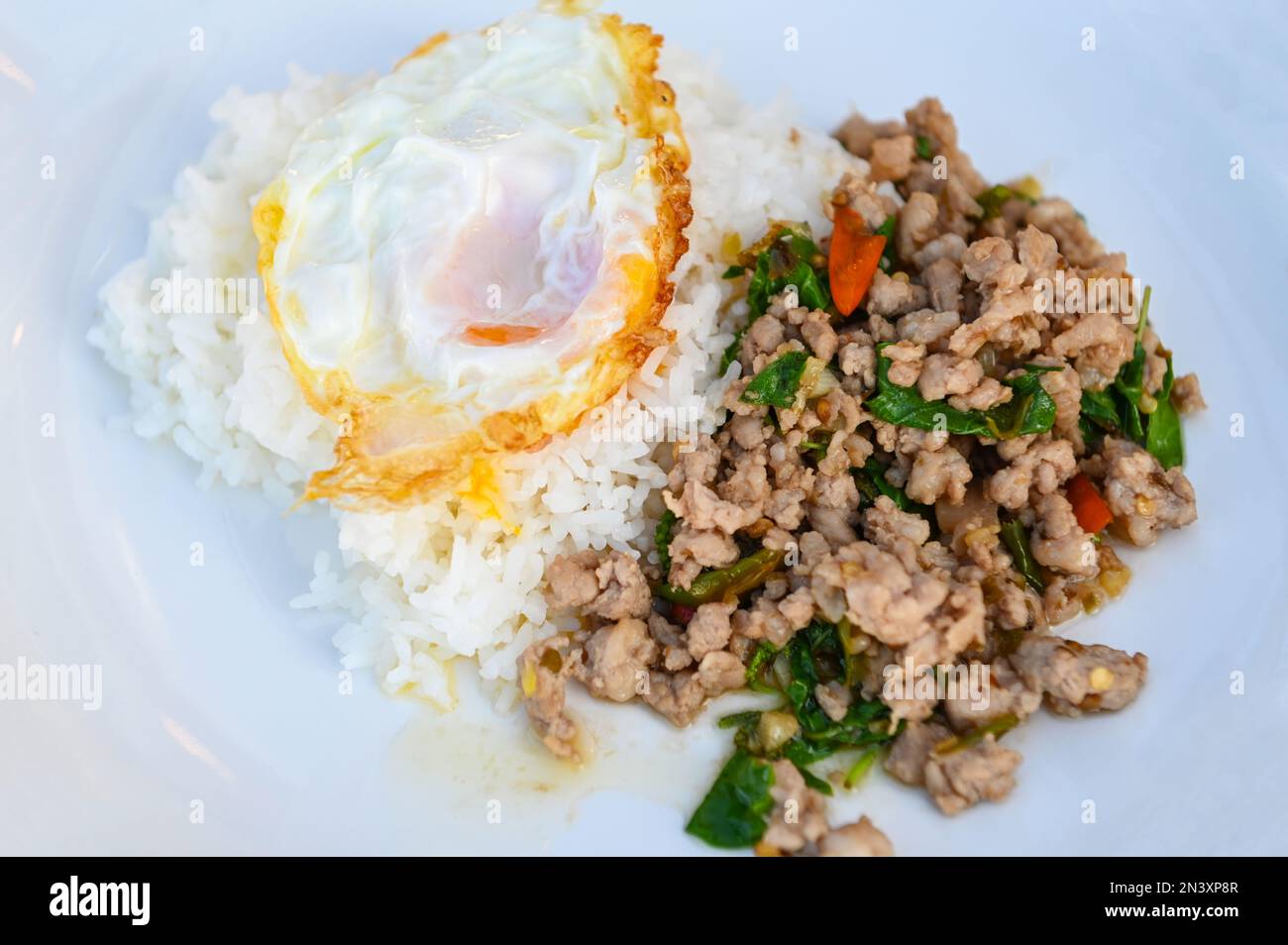 holy basil tritato maiale, Stir fritto basilico tailandese con maiale tritato e un uovo fritto su piatto bianco - vista dall'alto Foto Stock