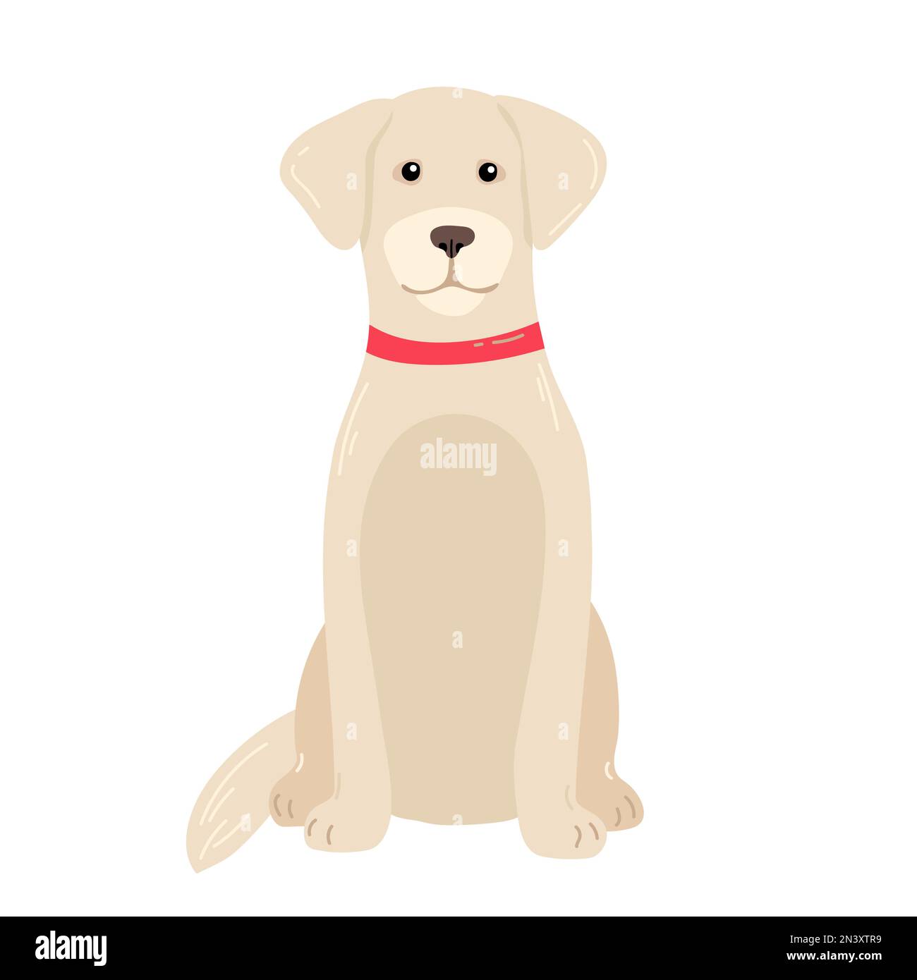 Golden retriever cani in diverse pose e colori cappotto. Set goldie e cuccioli per adulti. Illustrazione vettoriale Illustrazione Vettoriale