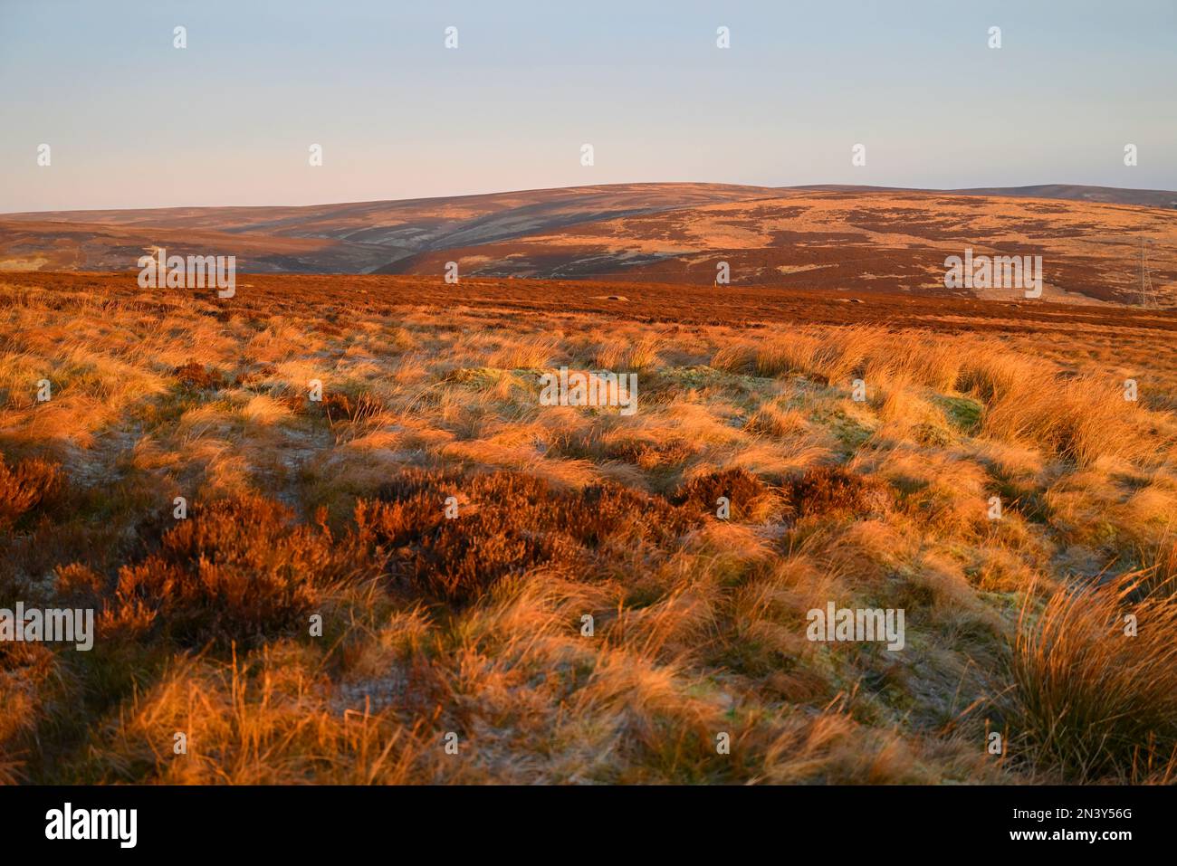 Lammermuir Hills East Lothian vicino Edimburgo Scozia Foto Stock