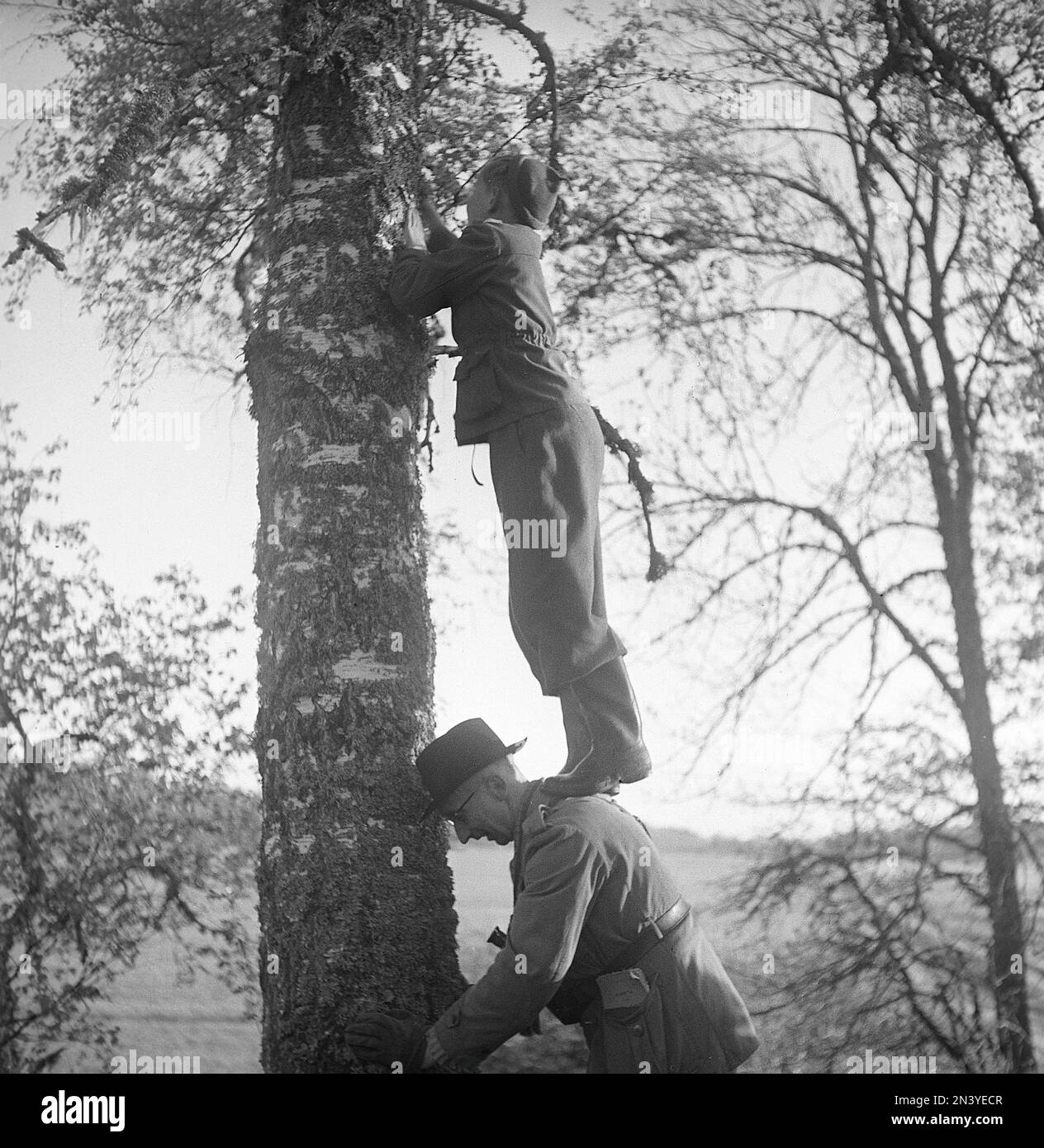 1940s vita all'aperto. Un ragazzo è in piedi sul dorso di un uomo per raggiungere più in alto in un albero per guardare qualcosa forse un uccello snest. Svezia 1949. Foto Kristoffersson Ref AR30-1 Foto Stock