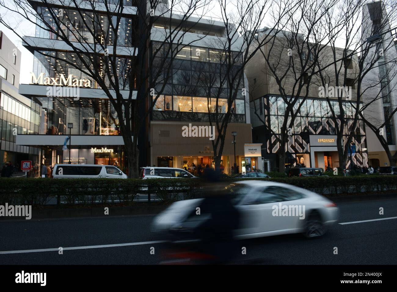 L'elegante viale Omotesandō, costeggiata da eleganti negozi di design e caffetterie alla moda. Tokyo, Giappone. Foto Stock