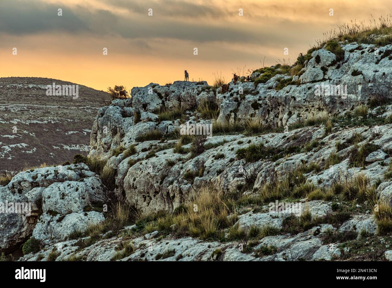 Necropoli di Cassibile, sito archeologico con numerose tracce rupestri e rovine. Avola, provincia di Siracusa, Sicilia, Italia, Europa Foto Stock