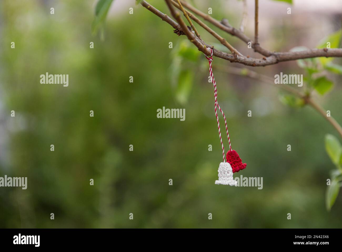 Simbolo del primo giorno di primavera Martisor. Tradizione di dare souvenir rossi e bianchi. Alla fine di marzo, Martisor è appeso su un ramo di albero e wis Foto Stock