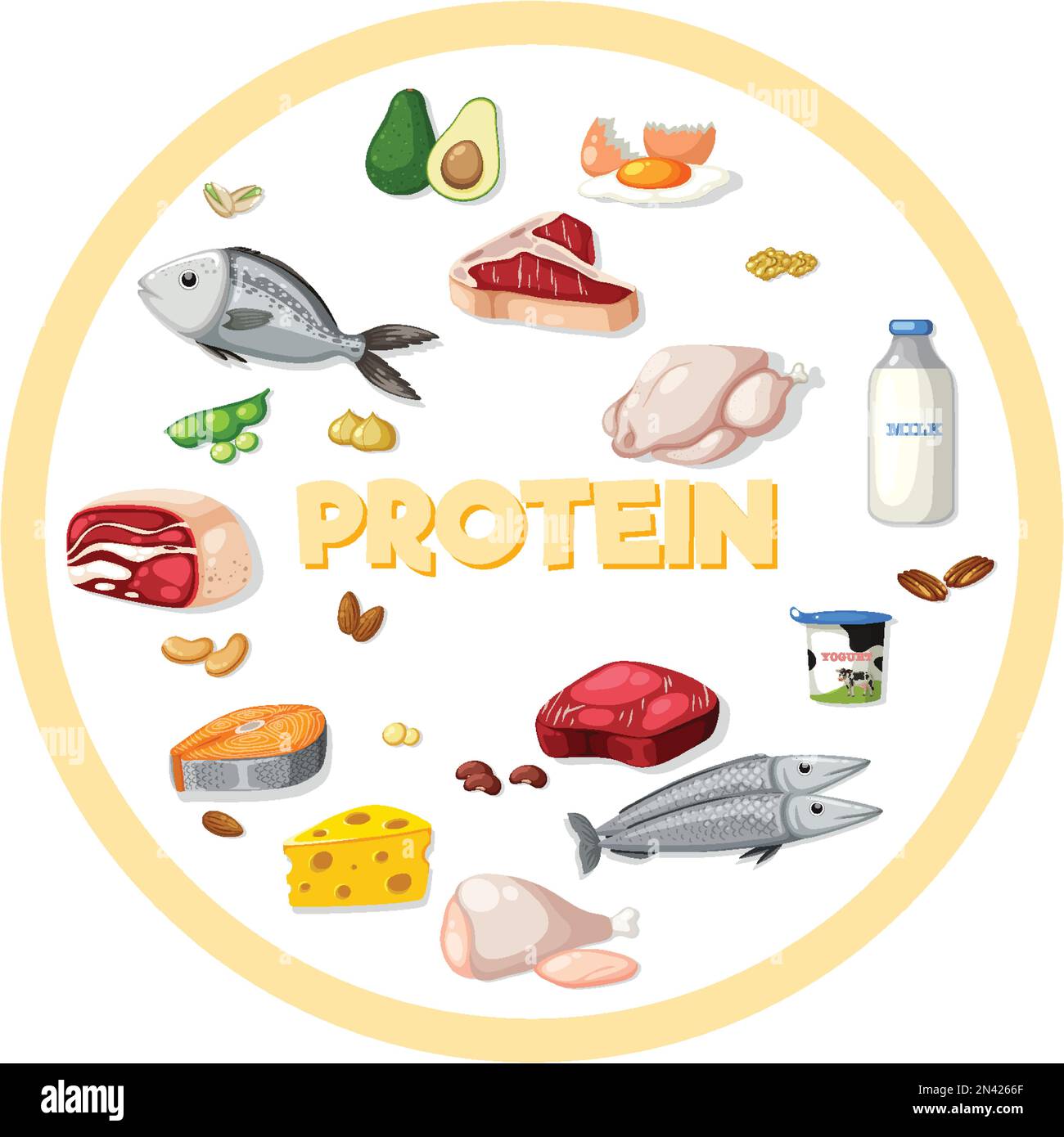 Varietà di illustrazione di alimenti di proteina Illustrazione Vettoriale Varietà di illustrazione di alimenti di proteina Illustrazione Vettoriale