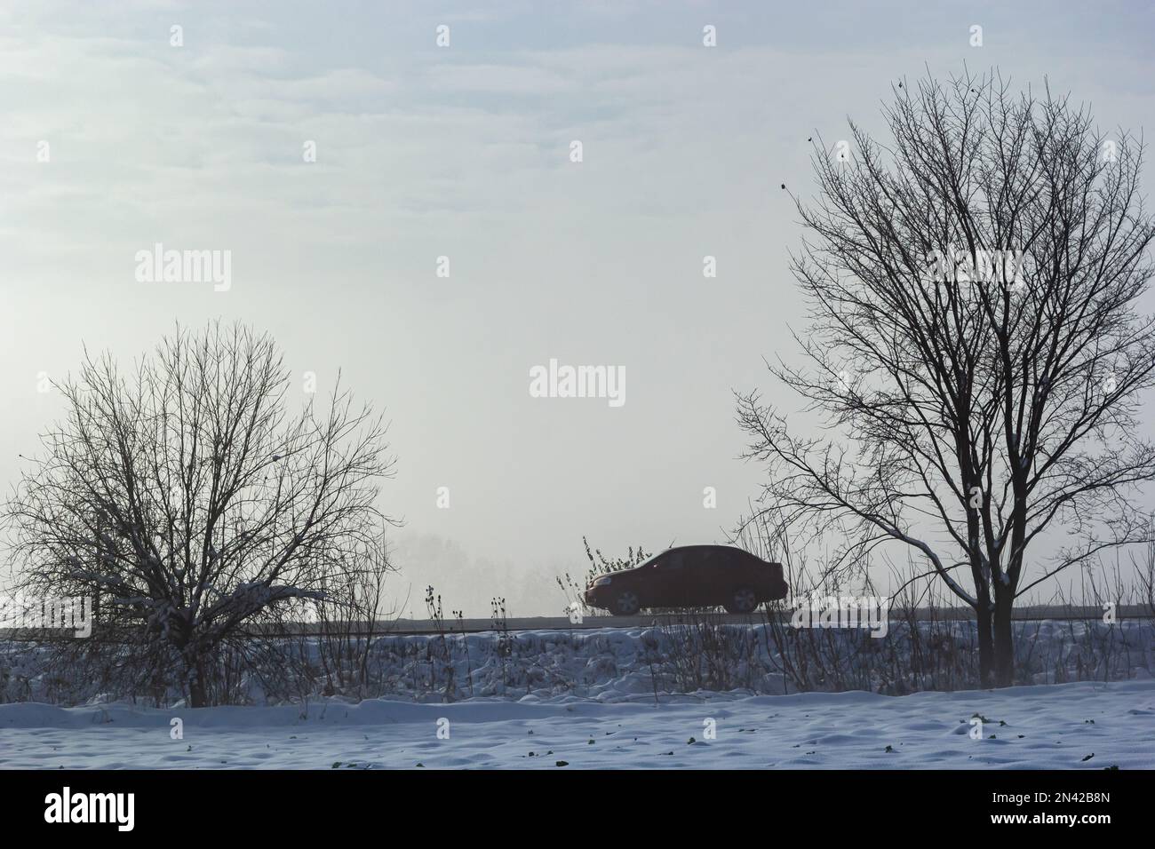 Auto passeggeri nella nebbia su una strada invernale con grandi nevicate sul lato della strada. Foto Stock