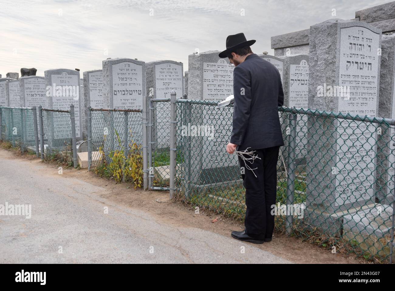 Un anonimo ebreo hassidico prega al cimitero di Montefiore vicino alle lapidi dei precedenti 2 Lubavitcher Rebbes. Nel Queens, New York. Foto Stock