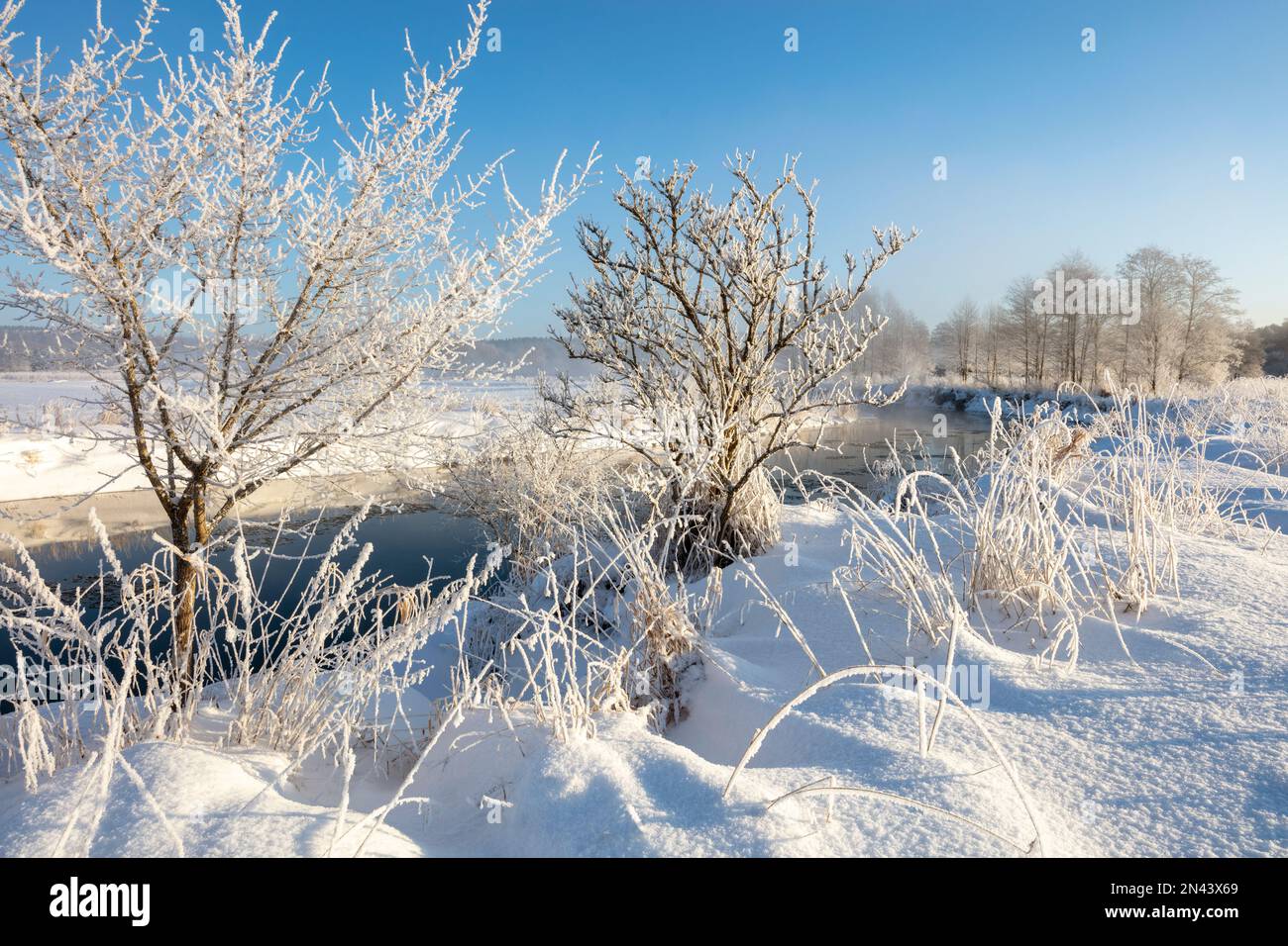 Warmia e Masuria, fiume nel paesaggio invernale, Polonia Foto Stock