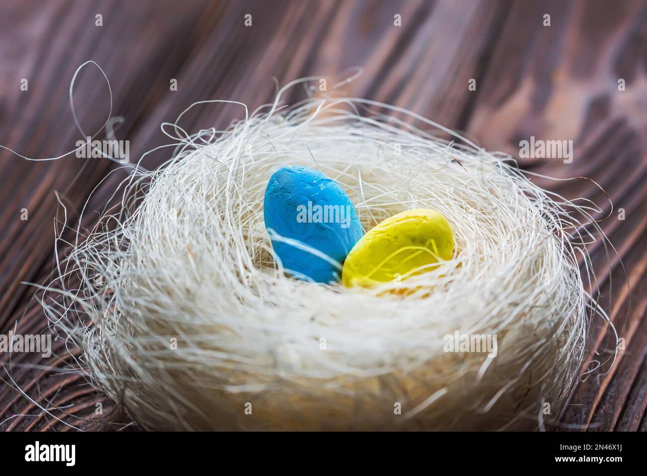 Uovo giallo e blu nel nido. Il concetto di una casa abbandonata dell'Ucraina per le vacanze di Pasqua Foto Stock