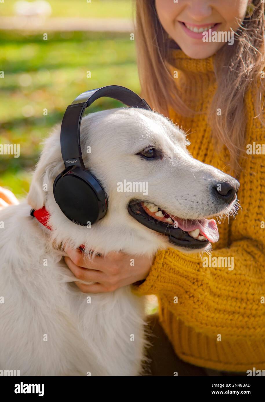 Belgrado, Serbia. Novembre 10th, 2022. ragazza sorridente con il suo cane che ascolta musica con le cuffie Foto Stock
