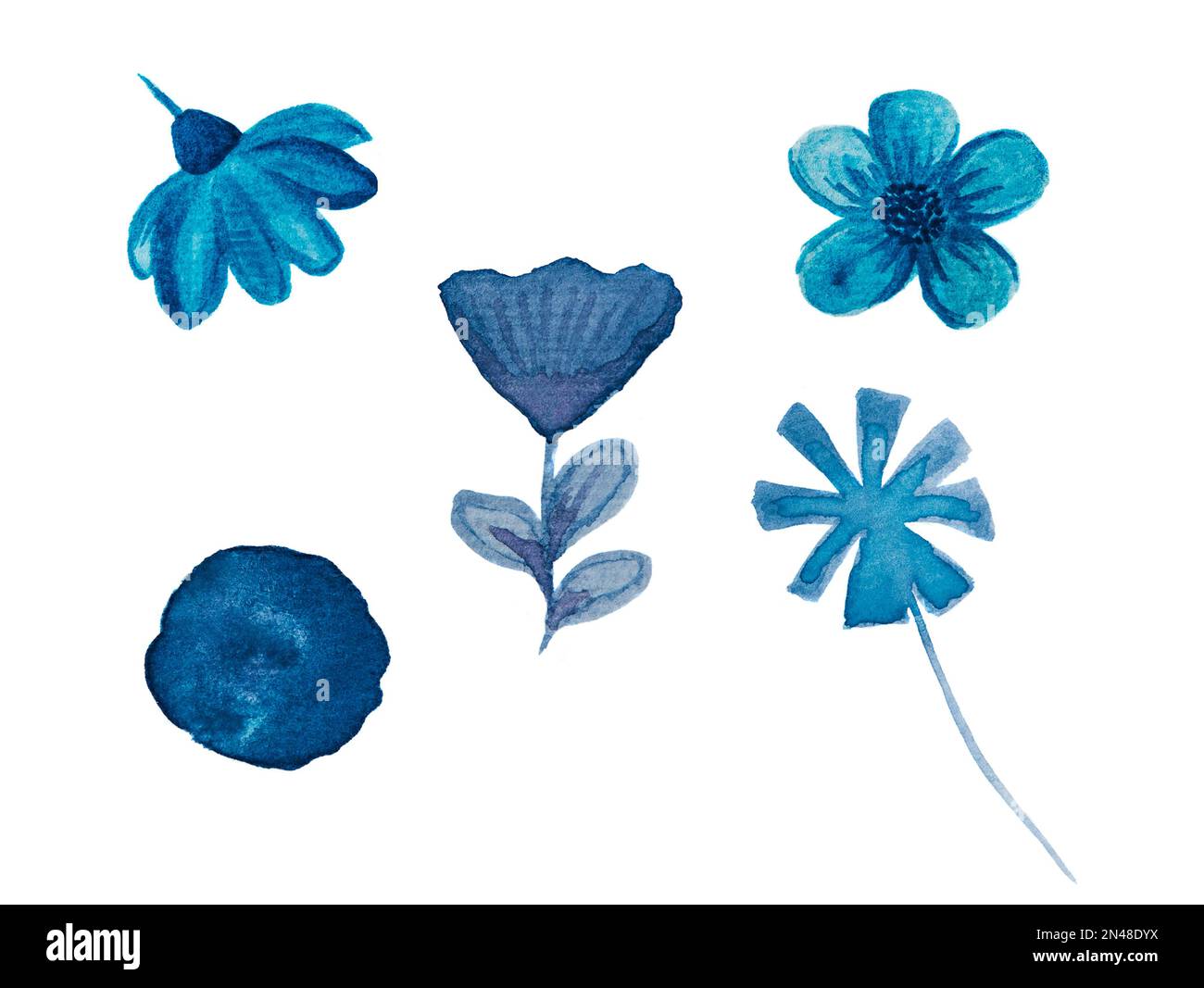 Set di fiori acquerelli blu, isolati su bianco. Colore blu indaco del clipart, illustrazione dipinta a mano. Foto Stock