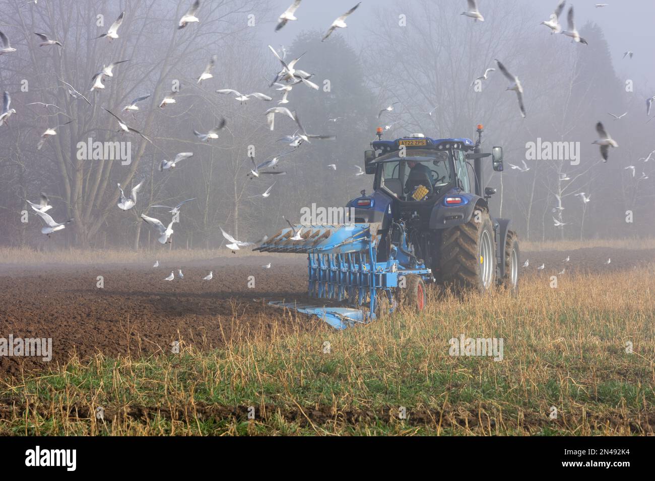 Maldon, Regno Unito. 08th Feb, 2023. Maldon Essex 8th Feb 2023 UK Weather Heavy Mist al 63rd° Salone annuale delle Doe dei macchinari agricoli a Maldon Essex Credit: Ian Davidson/Alamy Live News Foto Stock