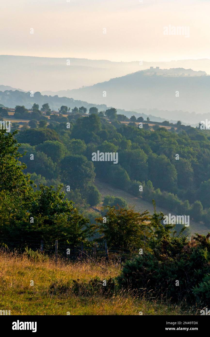 Misty mattina d'estate a Middleton Moor vicino a Wirksworth vicino all'High Peak Trail nel Derbyshire Dales Peak District Inghilterra Regno Unito Foto Stock