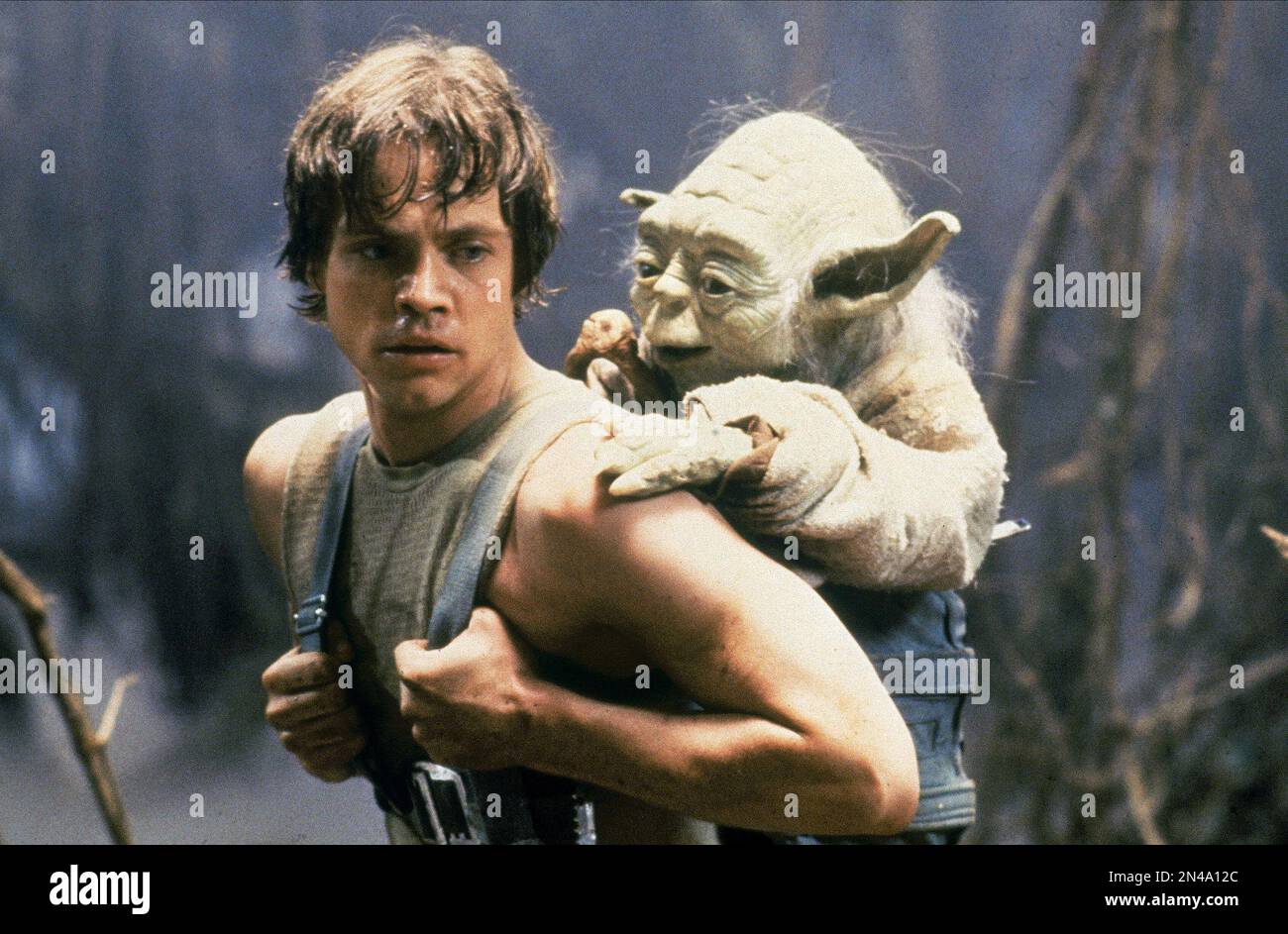 L'Impero colpisce indietro Star Wars Luke Skywalker & Yoda Foto Stock
