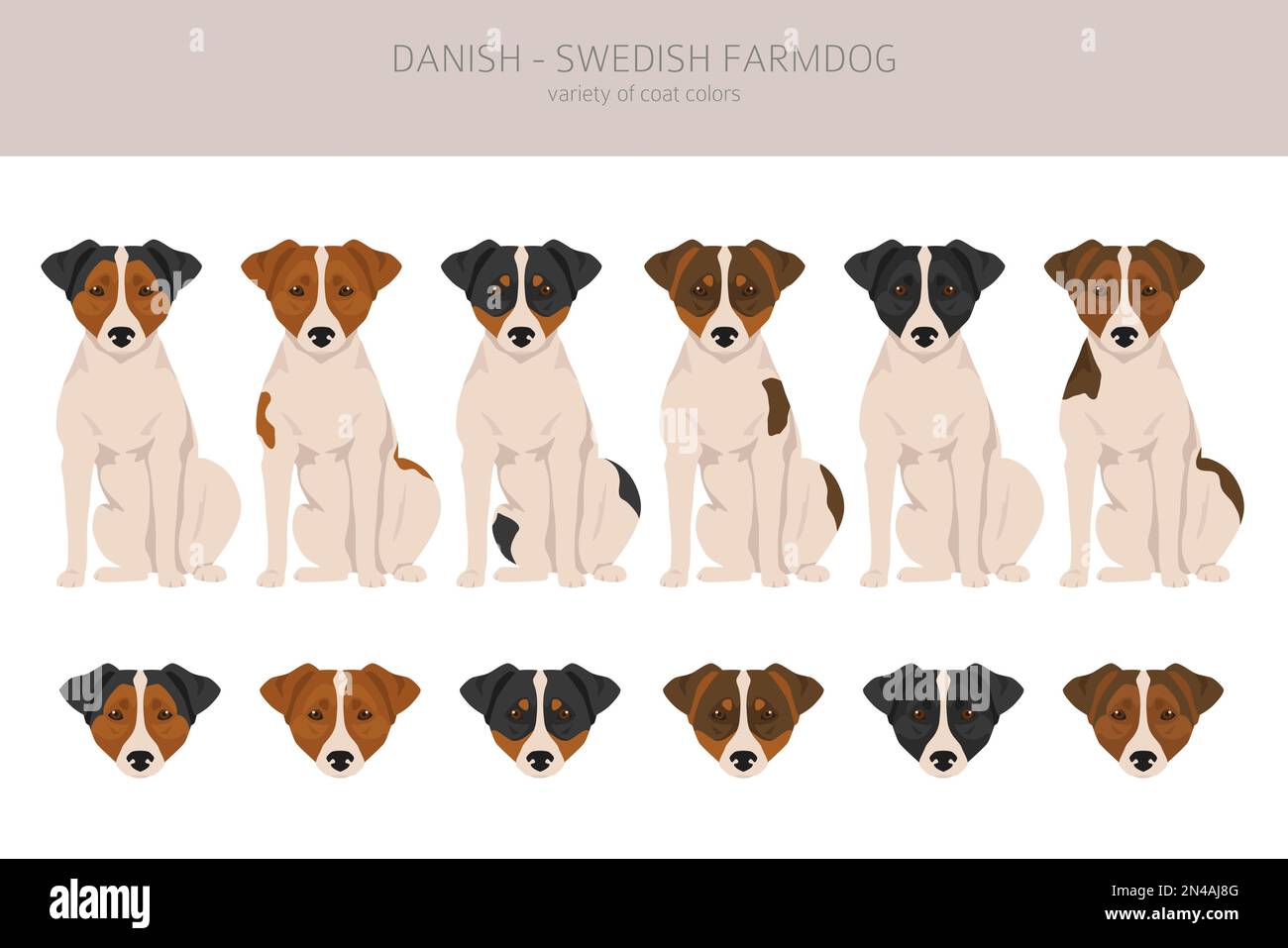 Danese svedese contadino. Pose diverse, colori del cappotto impostati. Illustrazione vettoriale Illustrazione Vettoriale