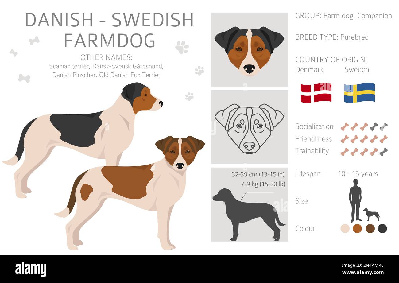 Danese svedese contadino. Pose diverse, colori del cappotto impostati. Illustrazione vettoriale Illustrazione Vettoriale