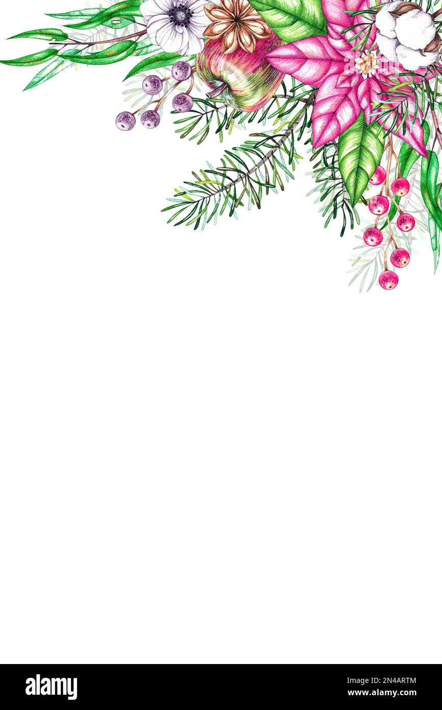 Sfondi acquerello con piante di Natale rosa e bianco per la progettazione di cartoline, inviti, biglietti d'auguri, banner, ecc Foto Stock