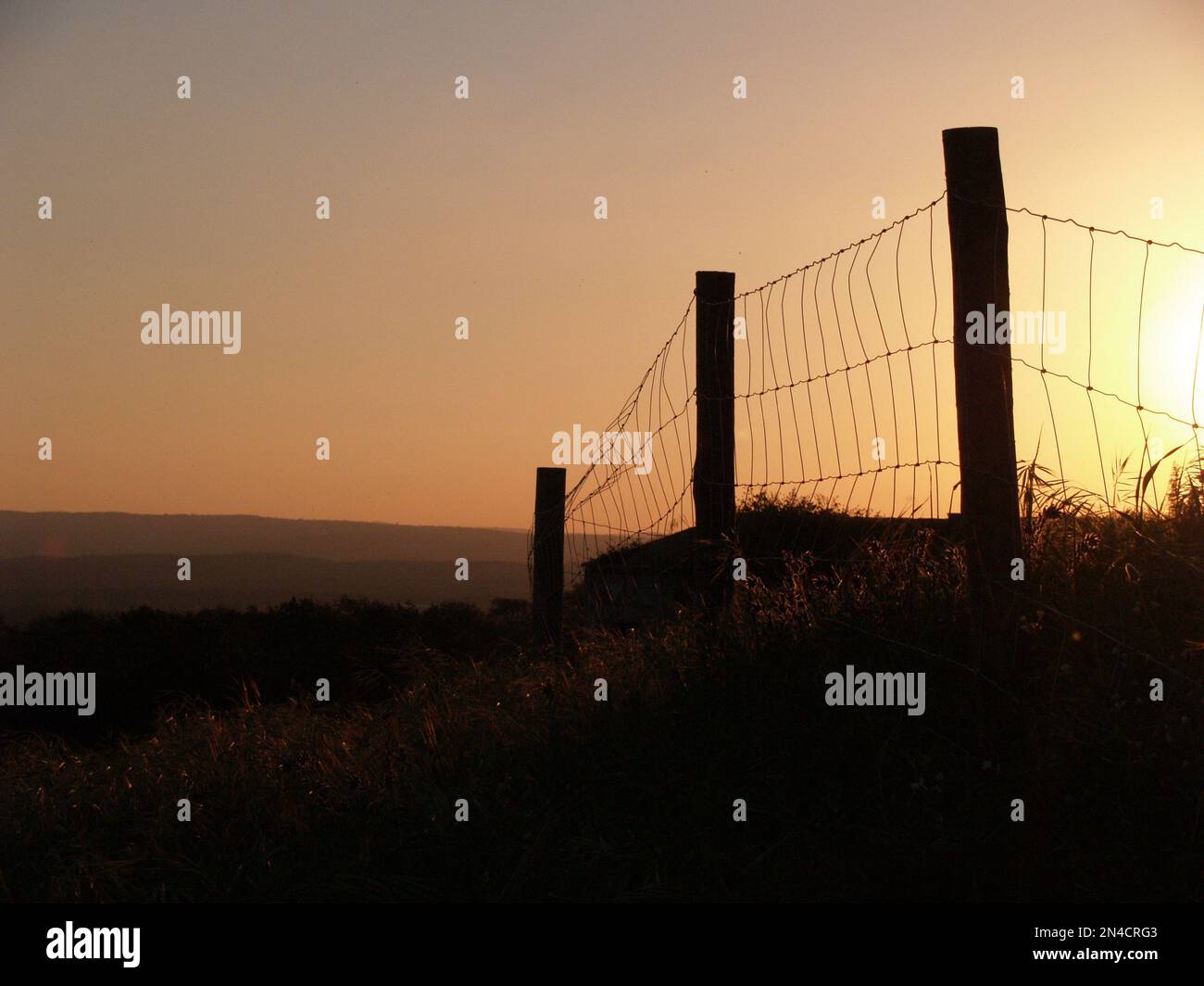Recinzione fatta con filo spinato in un campo di Alentejo durante il tramonto. Foto Stock