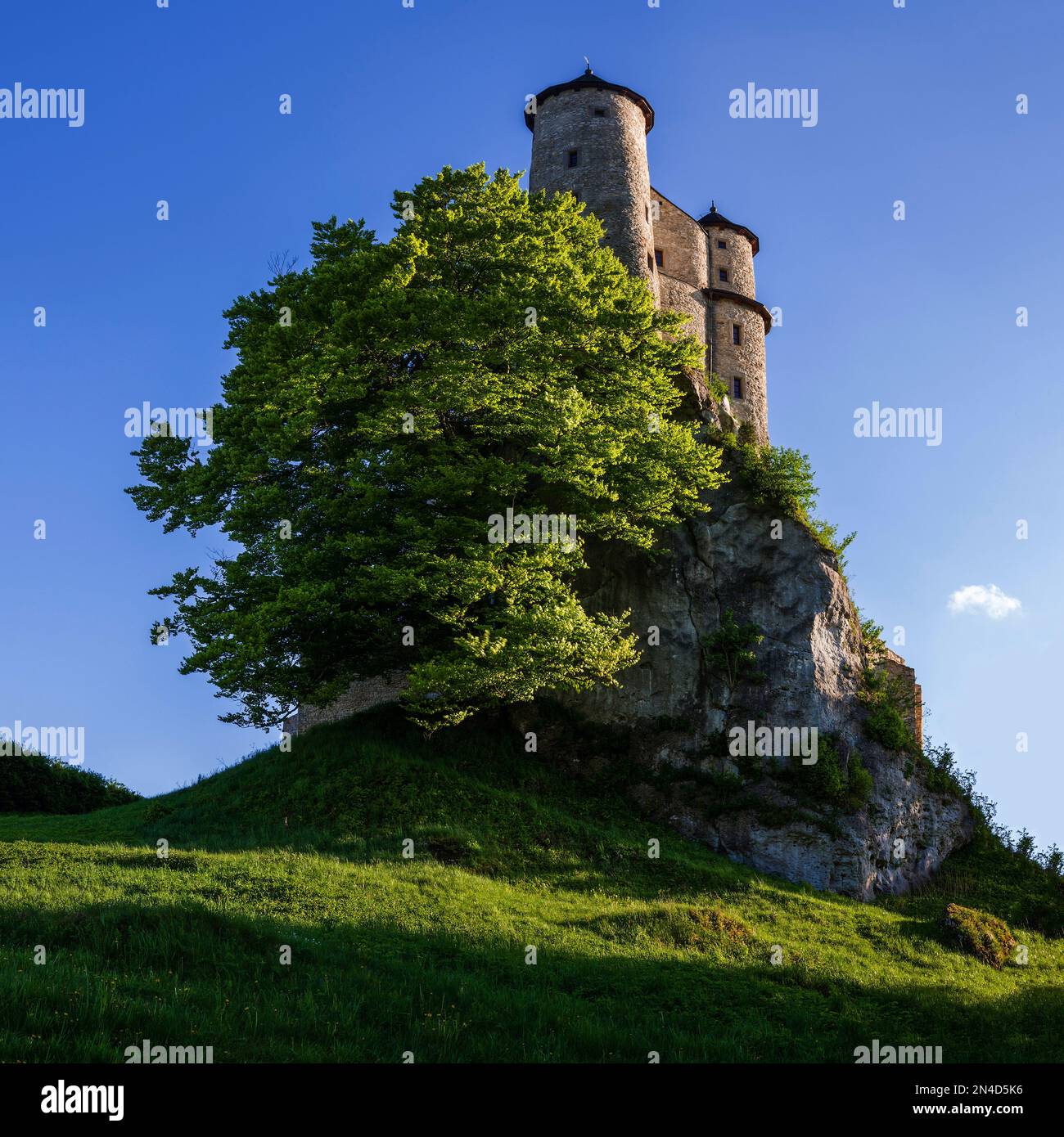 Sentiero dei nidi delle aquile - Castello di Bobolice Foto Stock