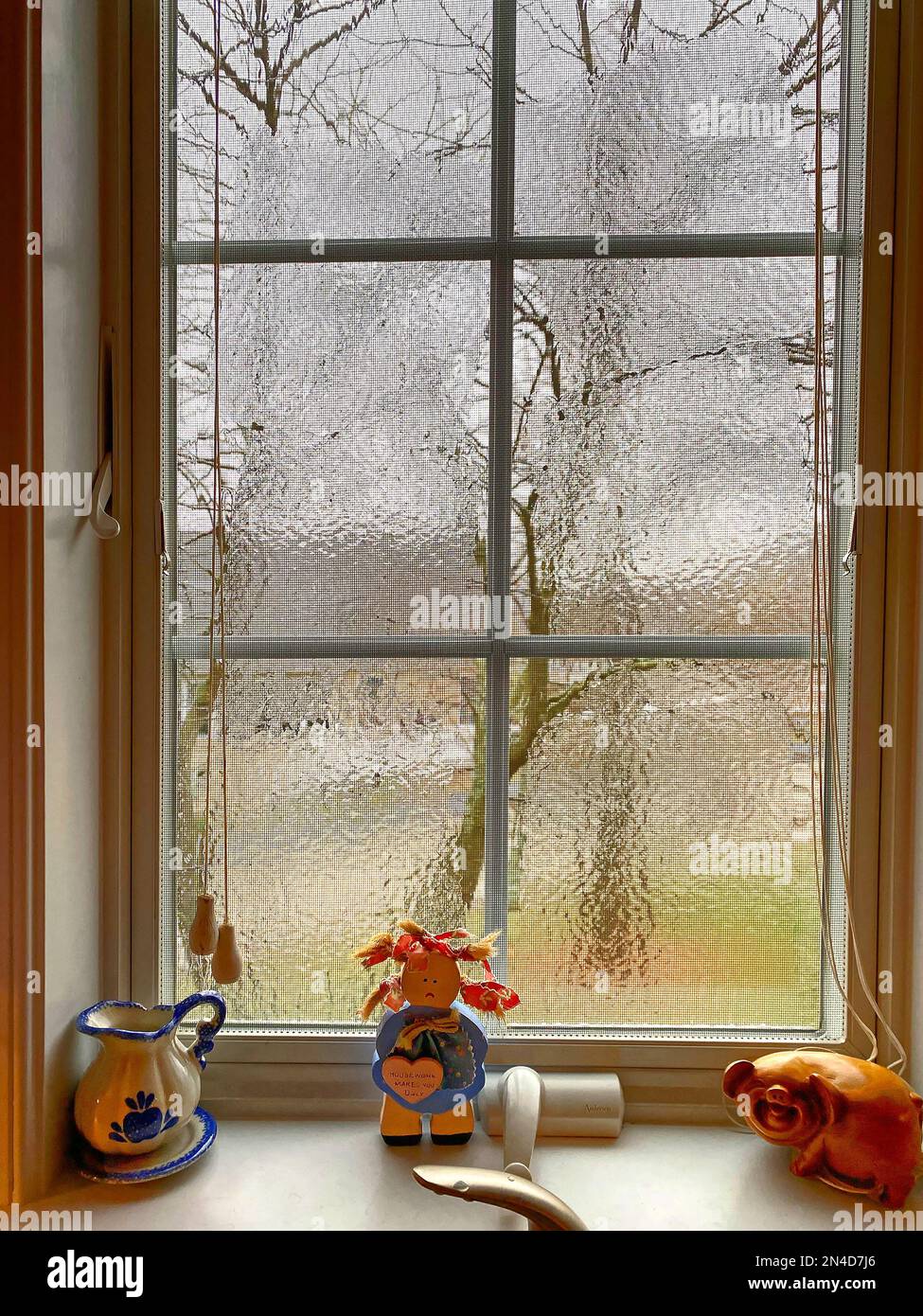 finestra da cucina ghiacciata, 6 pannelli, davanzale, 3 ornamenti, casa, maltempo, tempesta, inverno Foto Stock