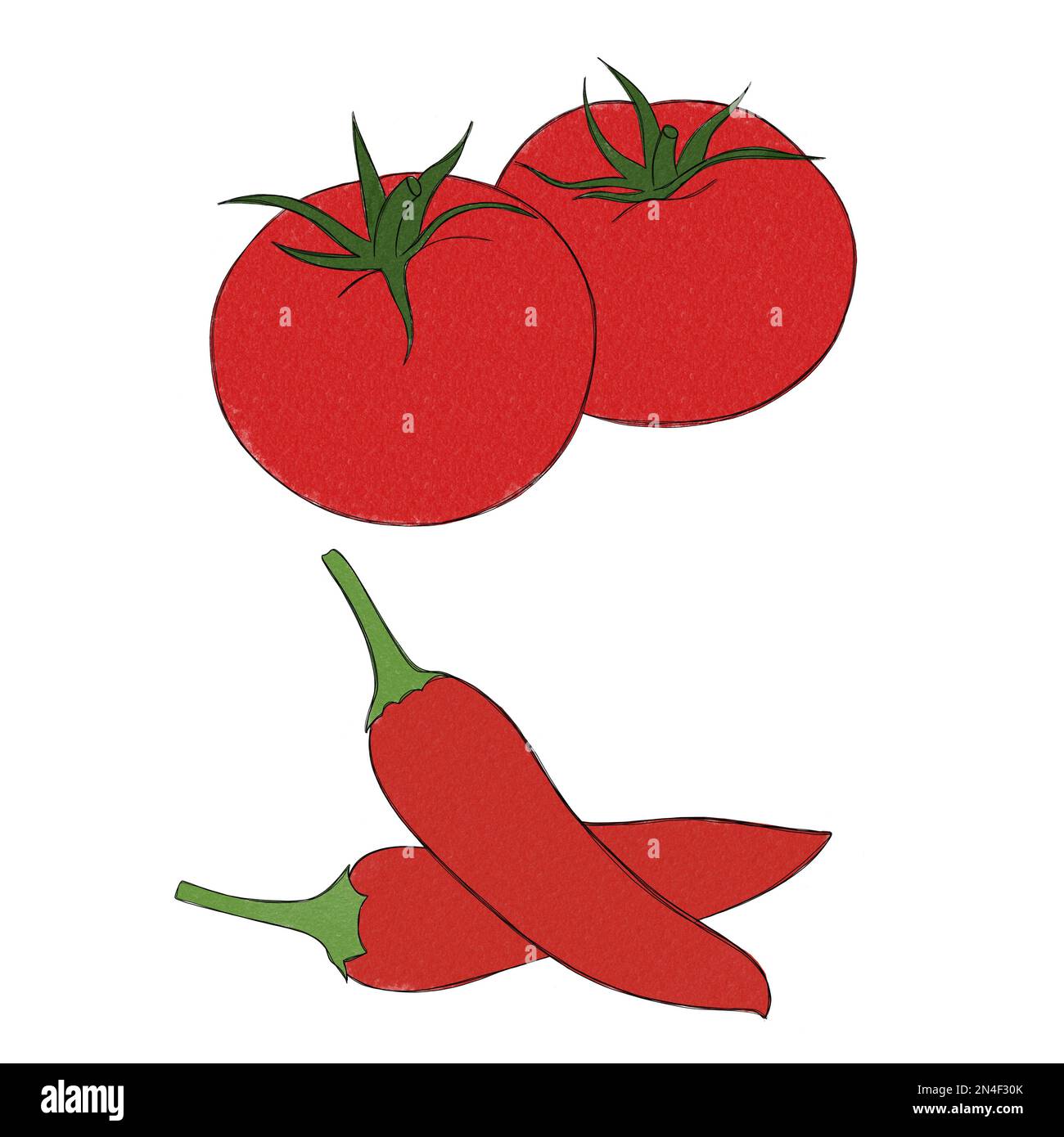 delizioso peperoncino di pomodoro rosso maturo - acquerello illustrazione a mano libera di una verdura Foto Stock