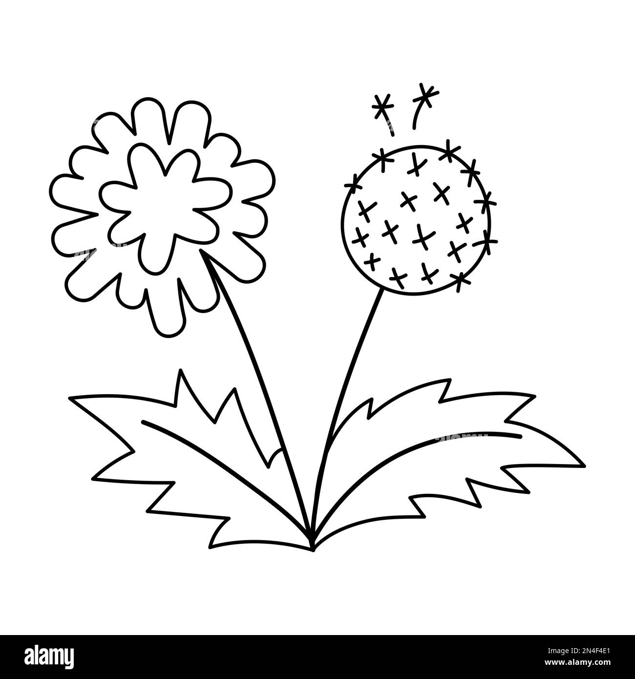 Icona dente di leone bianco e nero vettoriale. Prima illustrazione di contorno di pianta di fioritura. Clip art floreale o pagina da colorare. Carino fiore di primavera isolato su Whi Illustrazione Vettoriale