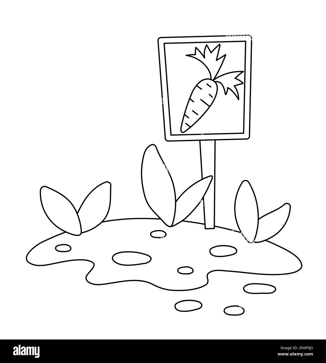Tabella vettoriale di carota da giardino bianca e nera con piante germogliate isolate su sfondo bianco. Disegno del giardino della molla con letto della stanza dei bambini Illustrazione Vettoriale Tabella vettoriale di carota da giardino bianca e nera con piante germogliate isolate su sfondo bianco. Disegno del giardino della molla con letto della stanza dei bambini Illustrazione Vettoriale