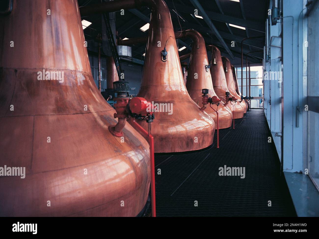 Scozia. Il whisky di rame viene distillato in una distilleria. Foto Stock