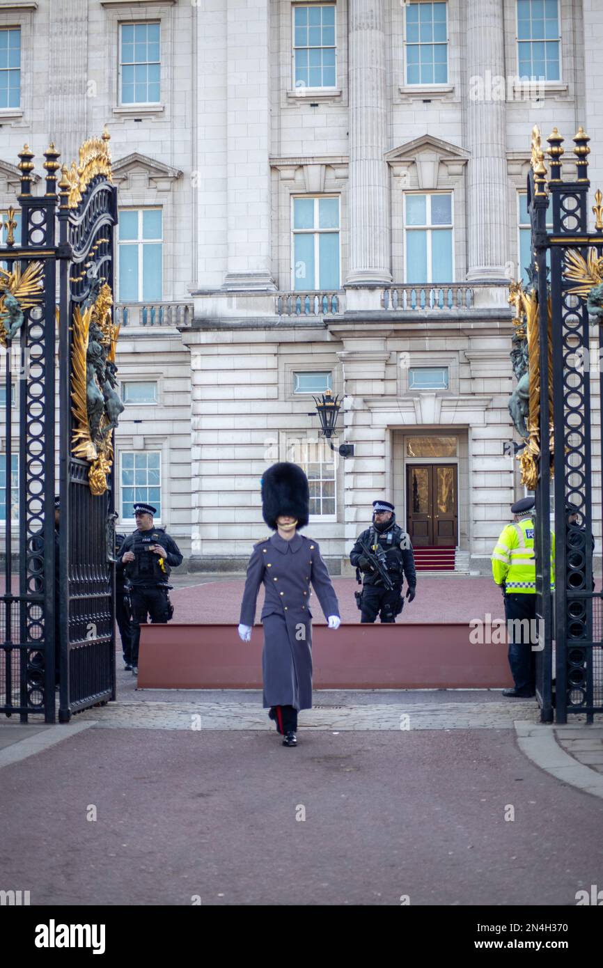 Londra, Regno Unito - 8 febbraio 2023: I guardiani reali fuori Buckingham Palace come presidente Zelensky dell'Ucraina sono arrivati per la sua prima visita nel Regno Unito dopo l'invasione russa. Credit: Sinai Noor/Alamy Live News - SOLO PER USO EDITORIALE. Credit: Sinai Noor/Alamy Live News Foto Stock