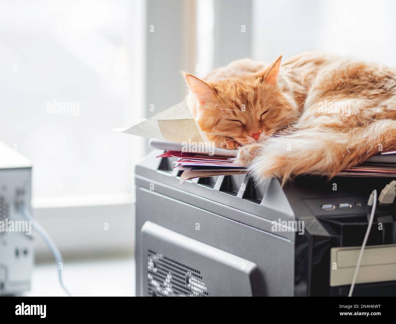 Carino zenzero gatto dorme sulla torre del computer. Il soffice animale domestico si rilassa sull'unità del sistema. Animale domestico ha un resto sul disco rigido. Foto Stock