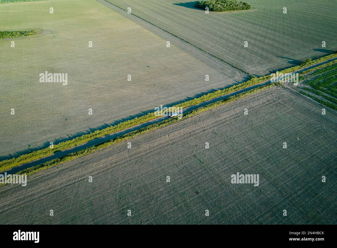 Correa, Argentina. 07th Feb, 2023. Vista di un campo inseminato nell'area altrimenti agricola produttiva. A causa del fenomeno climatico la Nina e la mancanza di precipitazioni, alcuni campi si trovano a falda. Lo scambio di grano argentino teme un calo netto nel raccolto di soia. Credit: eduardo bodiño/dpa/Alamy Live News Foto Stock