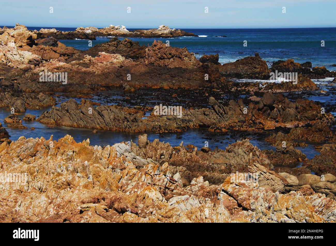 Panorama di splendide formazioni rocciose frastagliate multicolore sulla costa di Rooi-els, Sud Africa. Foto Stock