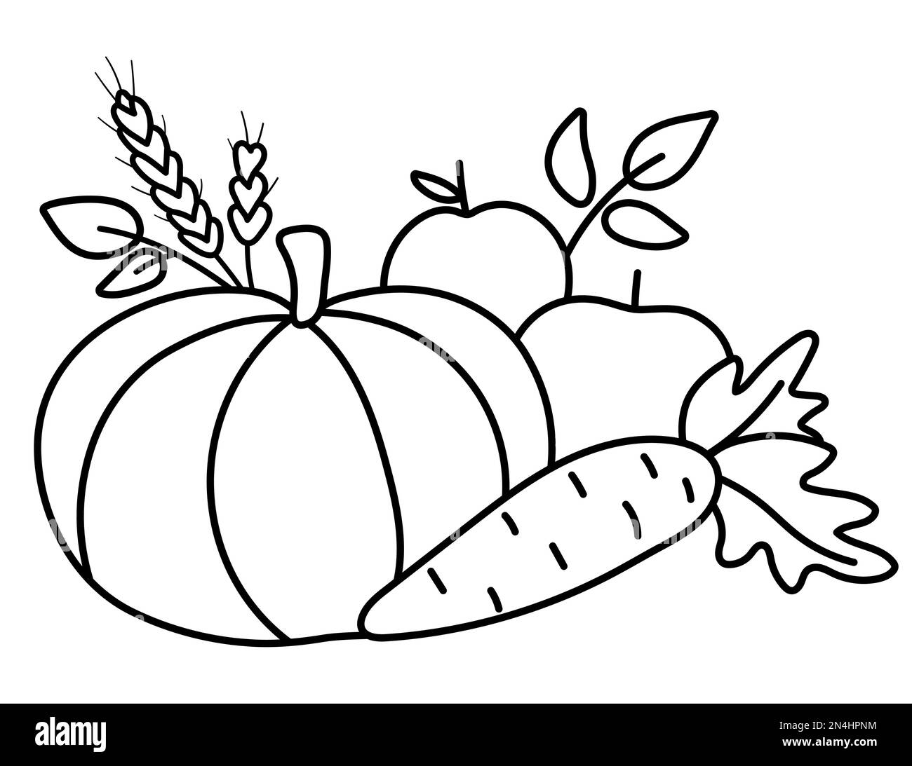 Disposizione vettoriale di frutta e verdura in bianco e nero. Carino linea orizzontale set con mele, zucca e carota. Composizione giardino autunnale clipart. F Illustrazione Vettoriale