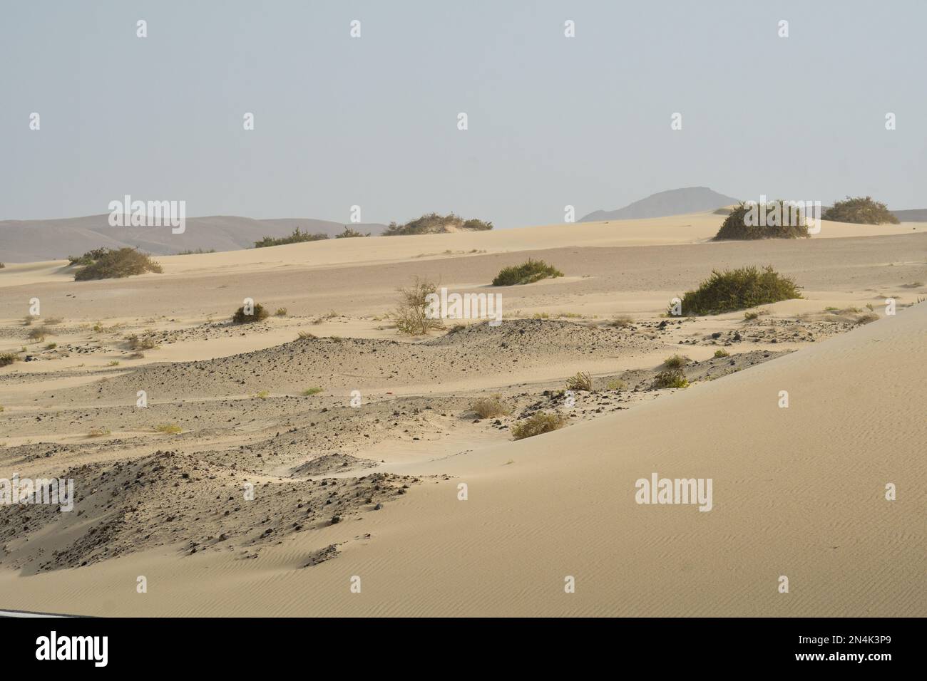 Dune del Parco Naturale di Corralejo a Fuerteventura Foto Stock