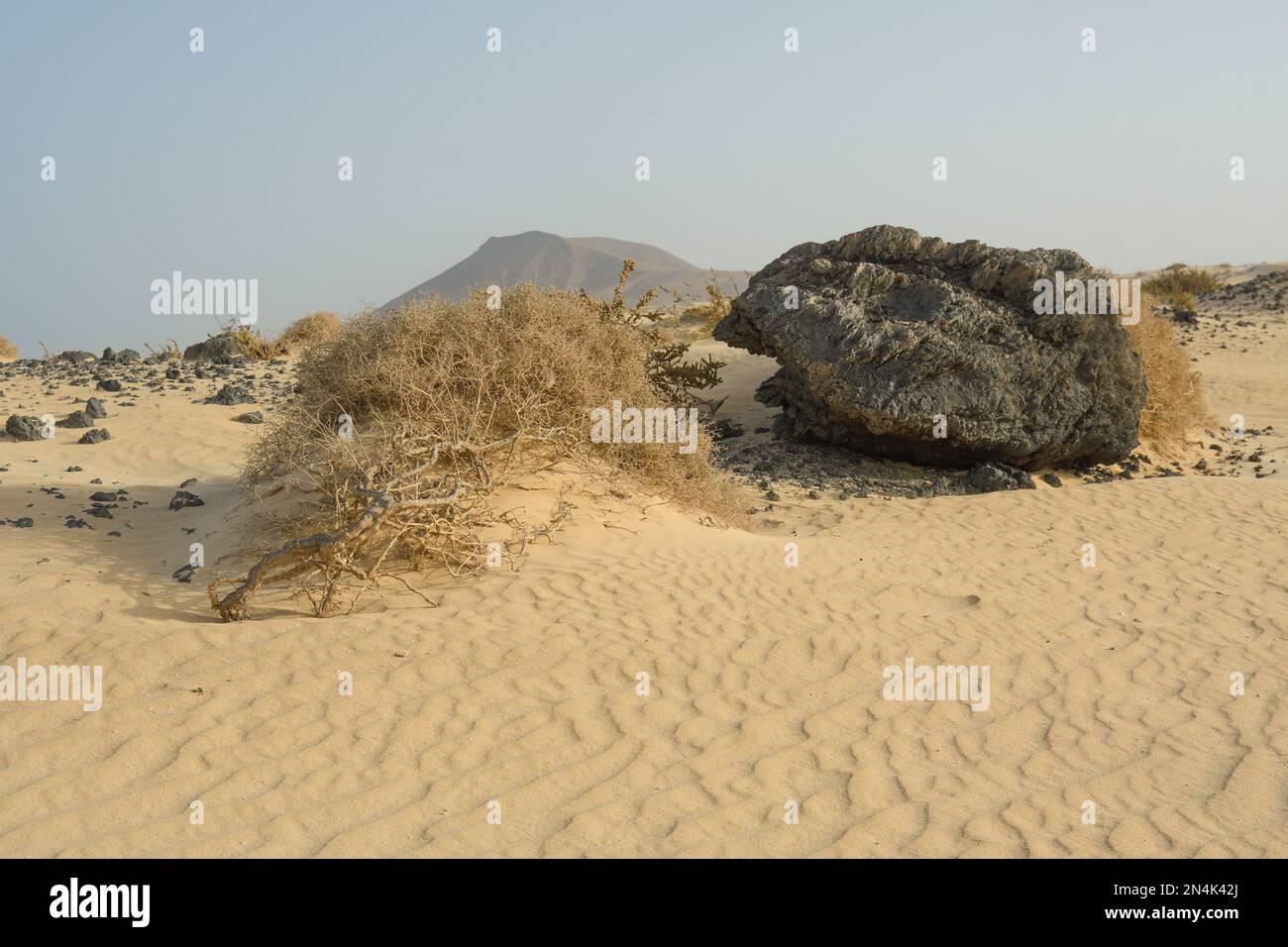 Dune del Parco Naturale di Corralejo a Fuerteventura Foto Stock