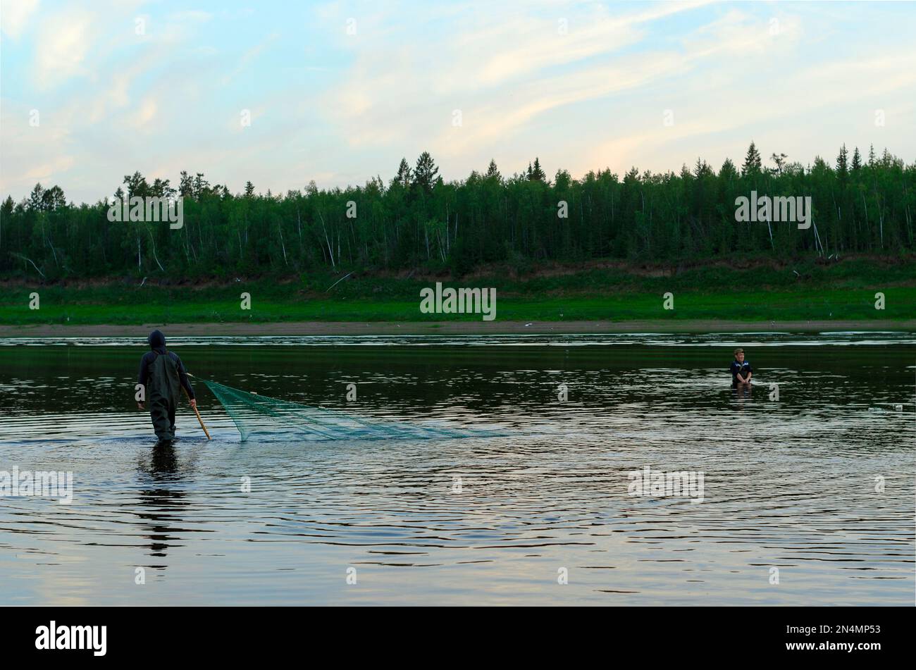 Due uomini Yakuts andare in guado stivali con rete di pesce sulla fauna selvatica nel fiume Vilyuy in una foresta taiga tradizionale cattura il pesce locale tugun. Foto Stock