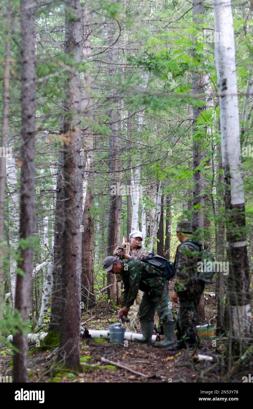 Due uomini Yakut e una ragazza si fermarono per riposare sulle tracce di una fitta foresta settentrionale. Foto Stock