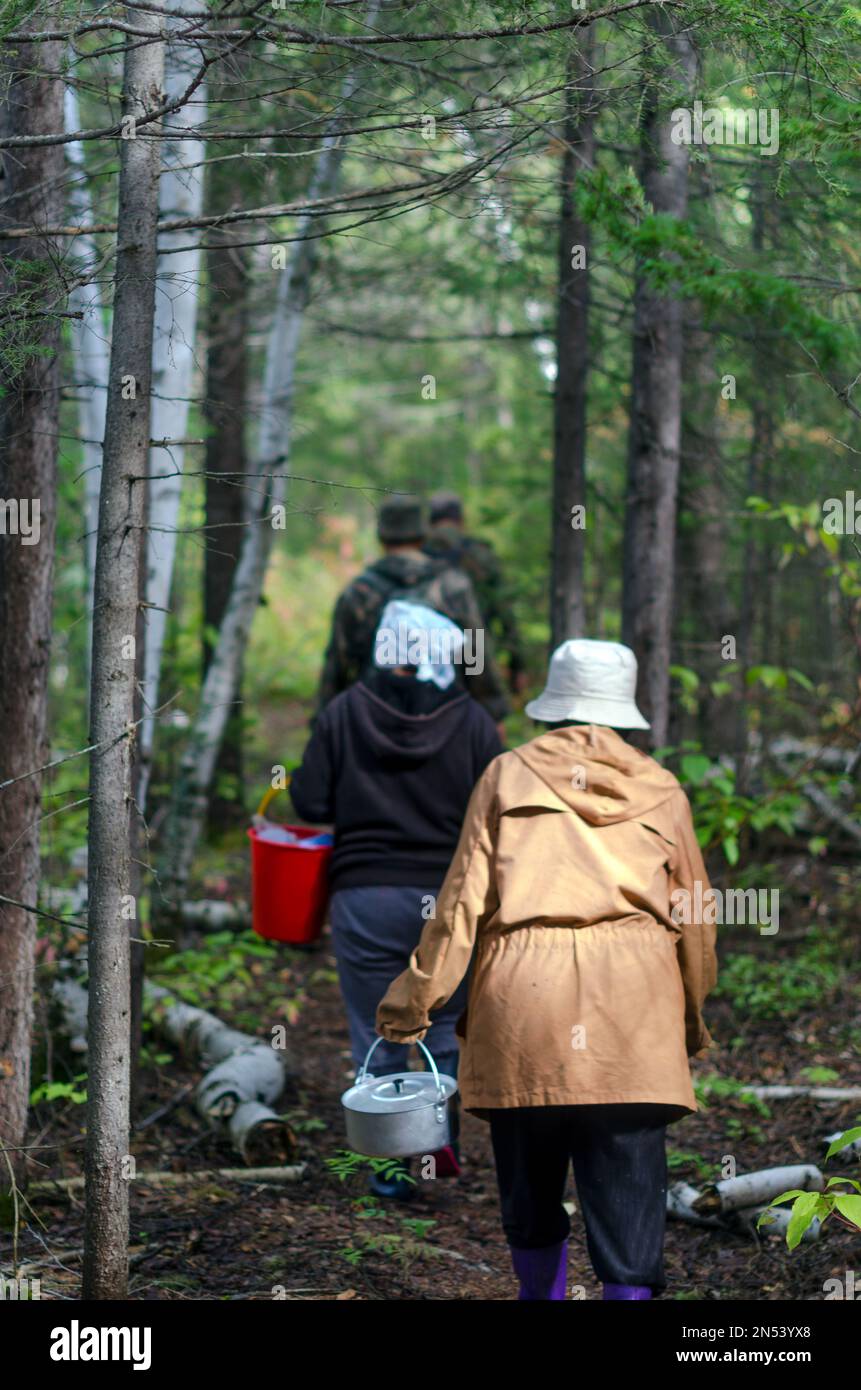 Donne e uomini con pentole e secchi sono sulle tracce della fitta foresta settentrionale di Yakutia. Foto Stock