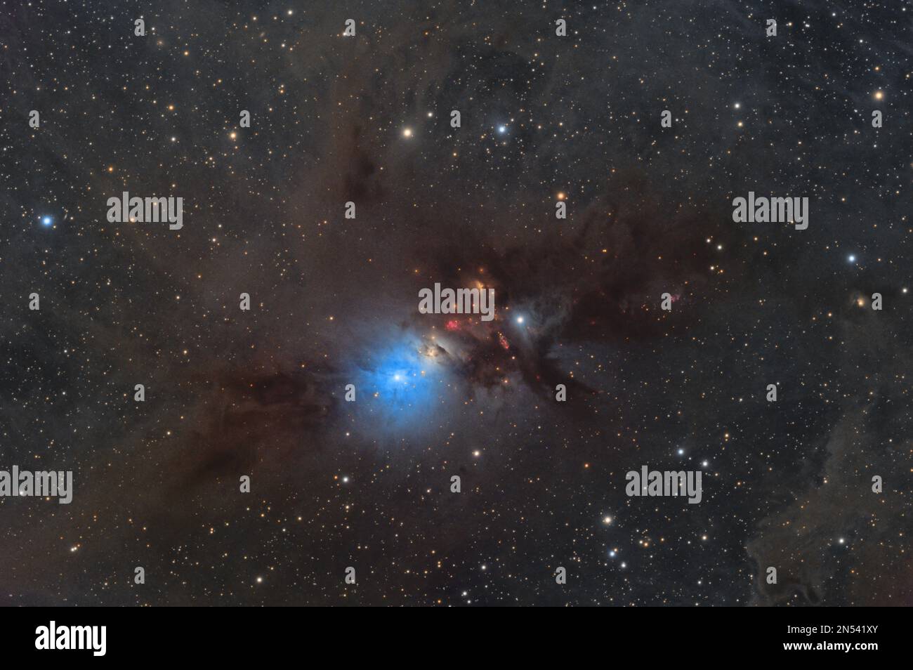 NGC 1333 - una nebulosa a riflessione a circa 1.000 anni luce nella costellazione di Perseo Foto Stock