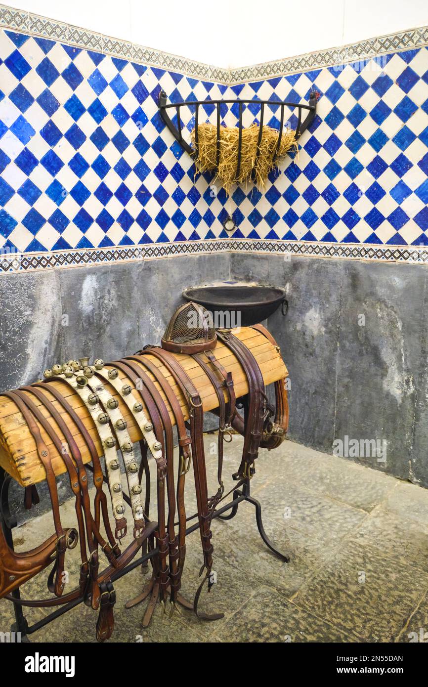 Porta fieno, cintura in pelle, attrezzatura da cavallo in una vecchia stalla. Al Museo delle carrozze, accanto al Museo Pignatelli di Napoli, Napoli, Italia, Foto Stock