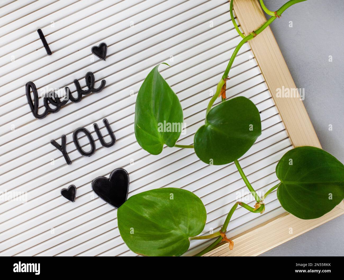 Lavagna con i love che hai scritto su di essa, con una cornice dorata, piante e raccolto astratto Foto Stock