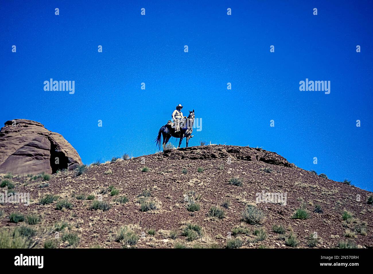 Cowboy su cavallo pied, collina sulla prateria, cielo blu, Arizona, USA Foto Stock