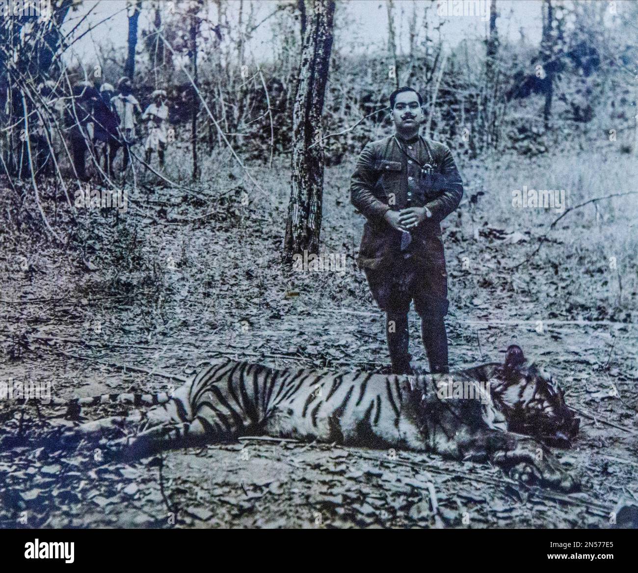 Foto della caccia alle tigri, Junagarh Fort, Bikaner, Bikaner, Rajasthan, India Foto Stock