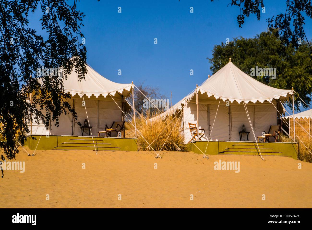 Comodo campo nel deserto, deserto del Thar, deserto del Thar, Rajasthan, India Foto Stock