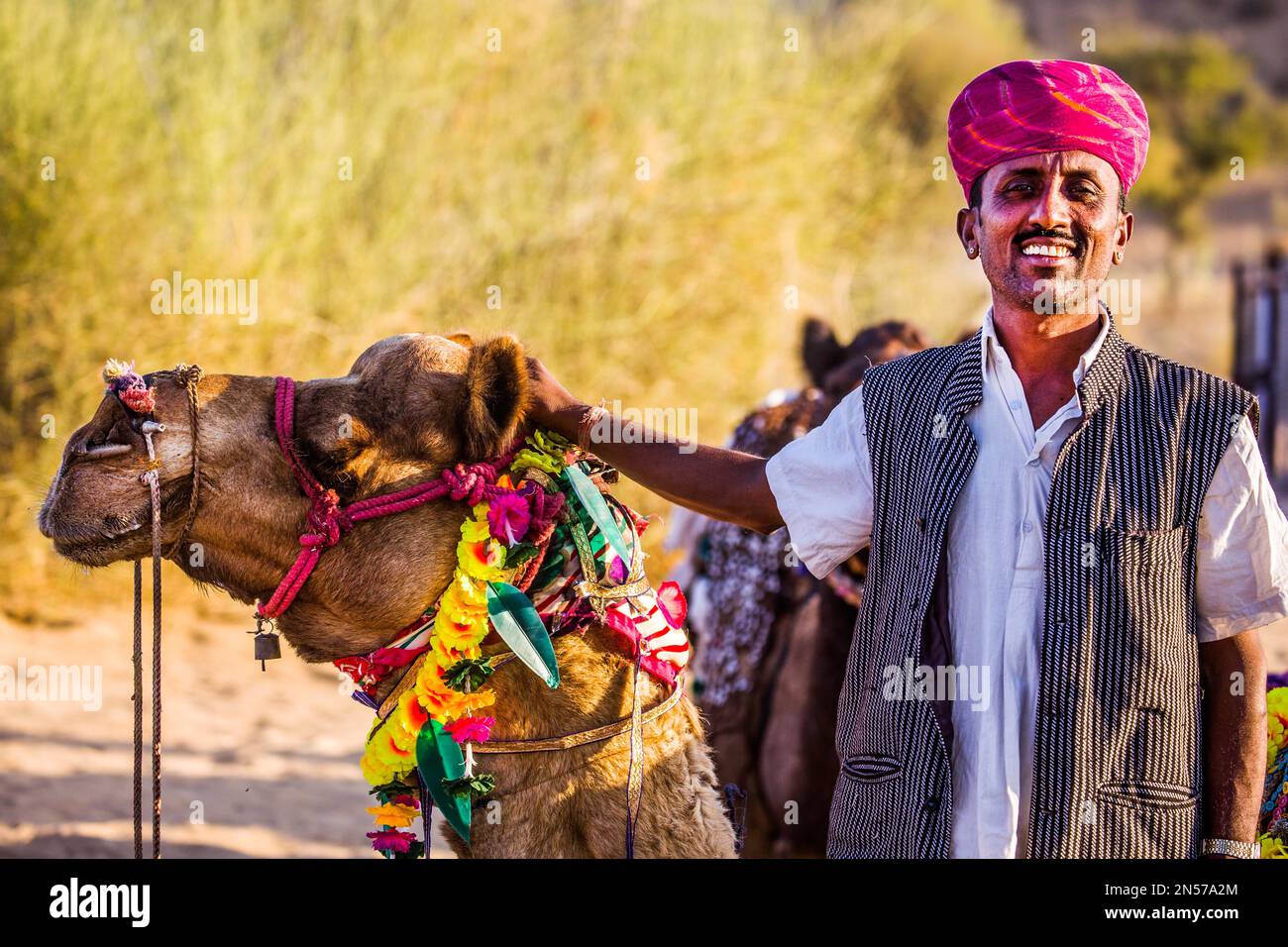 Equitazione sulle dromedari, Thar Desert, Rajasthan, India Foto Stock