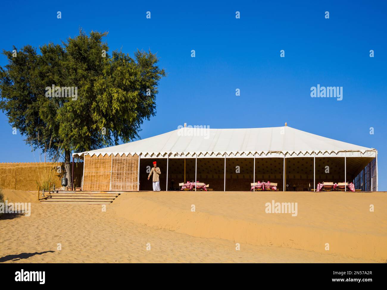 Comodo campo nel deserto, deserto del Thar, deserto del Thar, Rajasthan, India Foto Stock